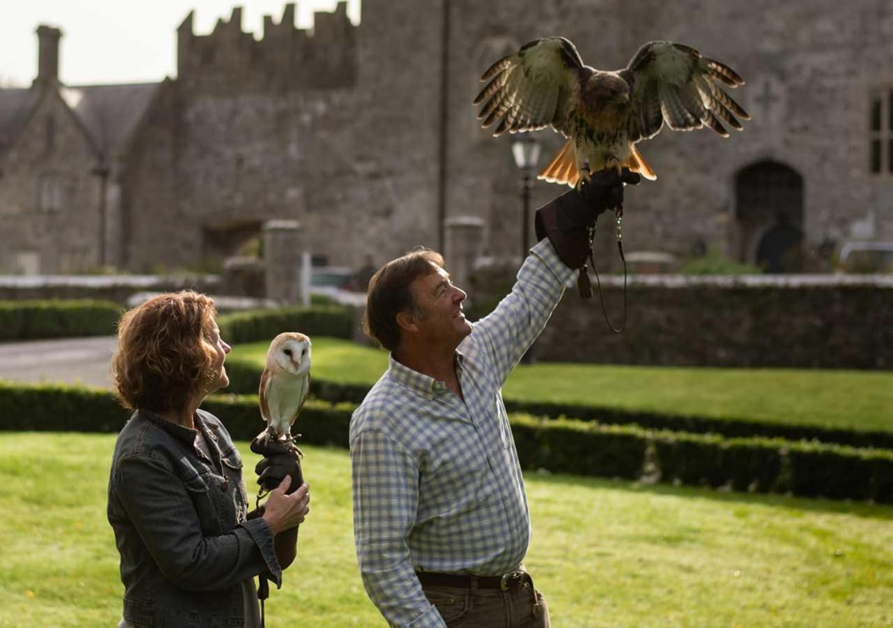 The Lodges At Kilkea Castle エクステリア 写真